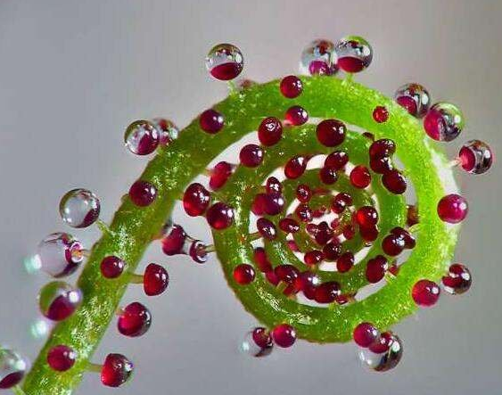 設(shè)計logo品牌的作用