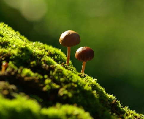 有關(guān)文字設(shè)計風(fēng)格和使用場合