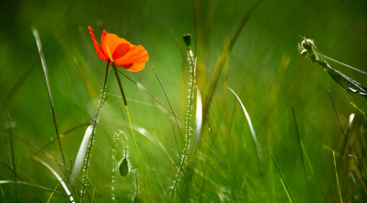 完成需求的整個(gè)過程