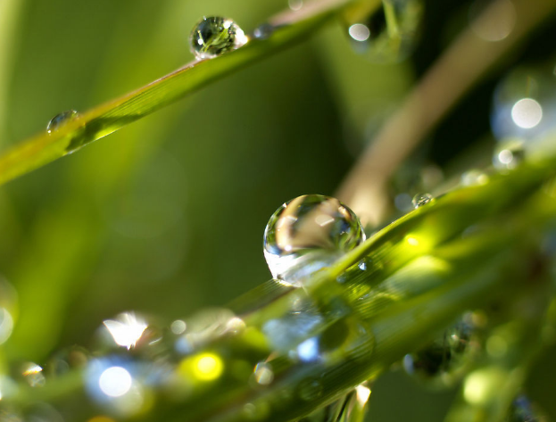 數(shù)字化雕塑的使用及其存在的問題