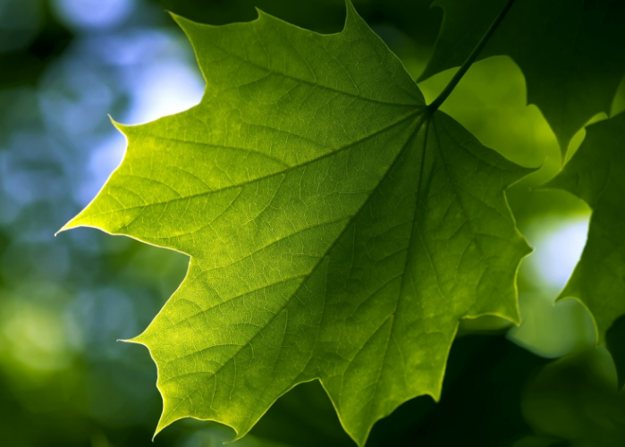 為什么要設計logo？logo設計對企業(yè)的影響有哪些？