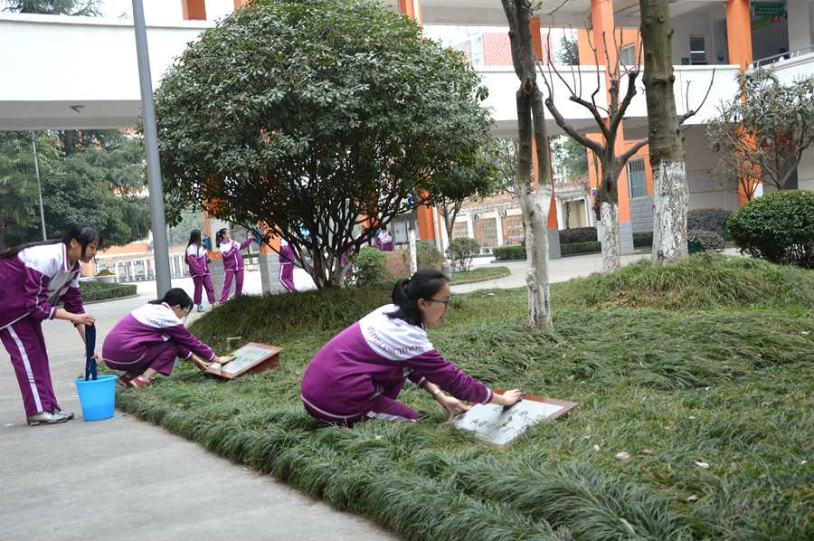 提升學(xué)校的文化品位和校園美化