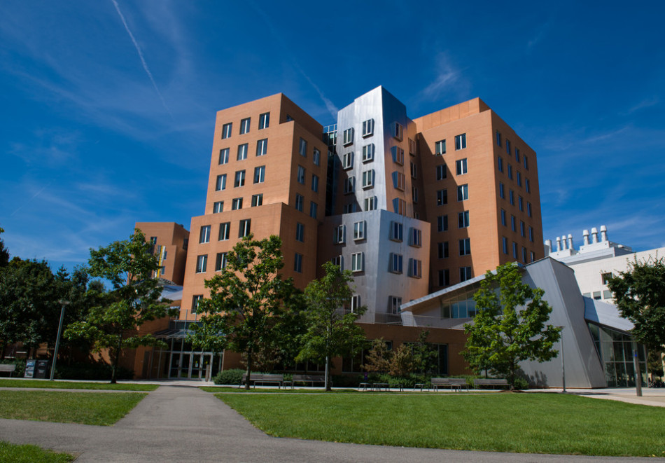 現(xiàn)代學(xué)校教育制度的類型簡(jiǎn)述