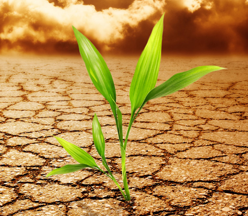 設計LOGO的作用的簡述