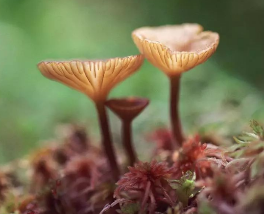 設(shè)計(jì)是以什么為標(biāo)準(zhǔn)的！