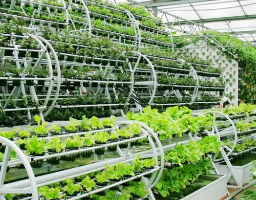 農(nóng)業(yè)建筑室內(nèi)設(shè)計簡述