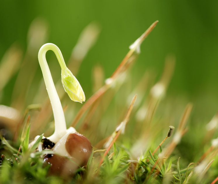 設(shè)計(jì)的標(biāo)準(zhǔn)是什么？作為設(shè)計(jì)師應(yīng)該怎么做？