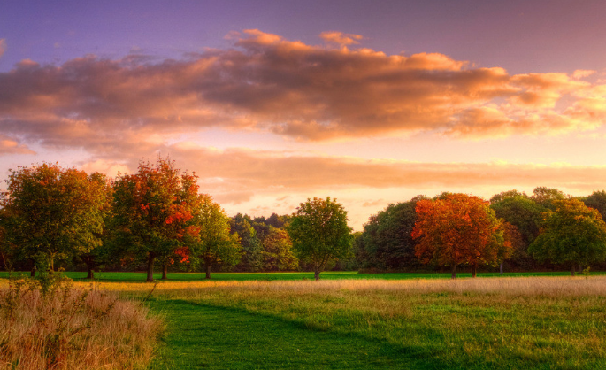 簡介學生眼中理想校園的樣子！