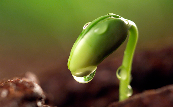 品牌是依據(jù)這些劃分的！