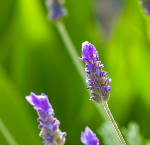 設(shè)計校園標識的構(gòu)思、規(guī)范