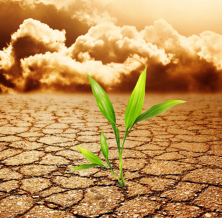 權(quán)衡布局及簡化設計