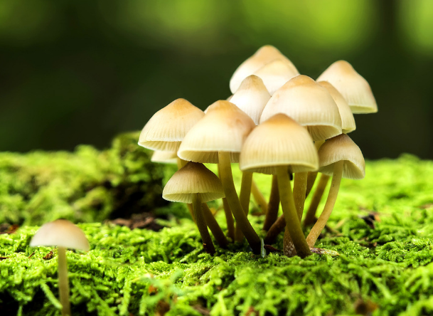 商標logo設計對企業(yè)的影響力！