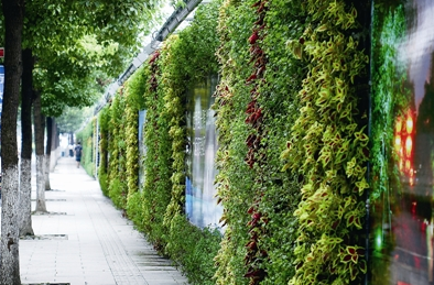 國內(nèi)校園文化墻的視角