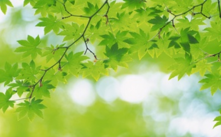 綠色生態(tài)校園建設(shè)的重點(diǎn)體現(xiàn)！