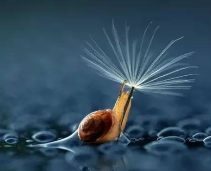 設(shè)計(jì)師對(duì)于視覺設(shè)計(jì)的感悟！