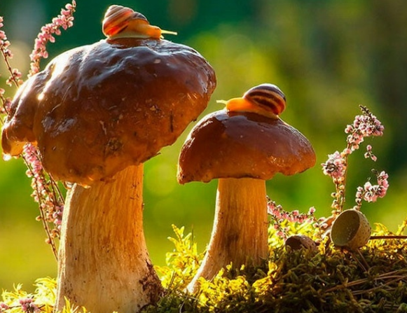 簡述客戶對設計的期待