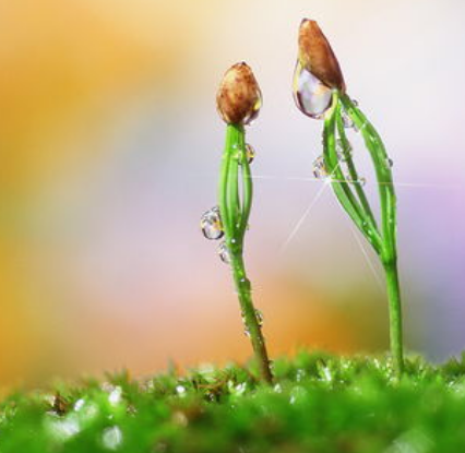 商標(biāo)的策略、創(chuàng)意、戰(zhàn)略！