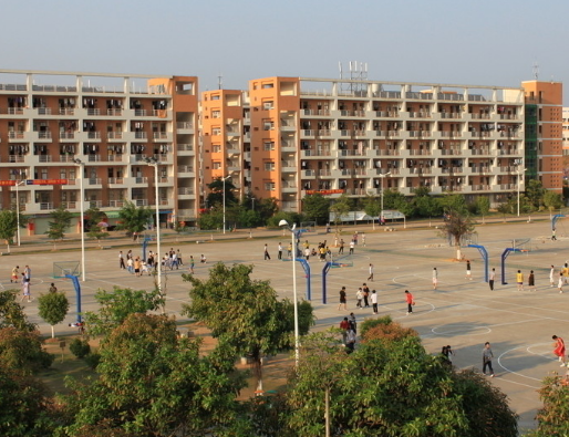 堅(jiān)持校園文化的正確方向的重要性！