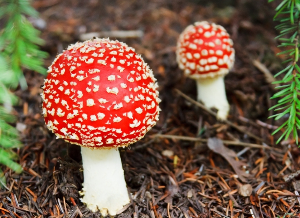 對于設(shè)計師來說是以什么為設(shè)計標準的！