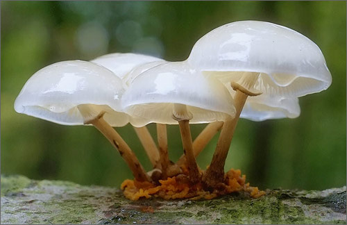 設(shè)計傳遞信息的要求以及客戶對設(shè)計的期待！