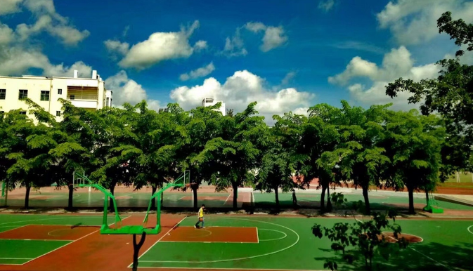 提高校園園林綠化景觀設(shè)計(jì)認(rèn)識(shí)及觀念轉(zhuǎn)變！