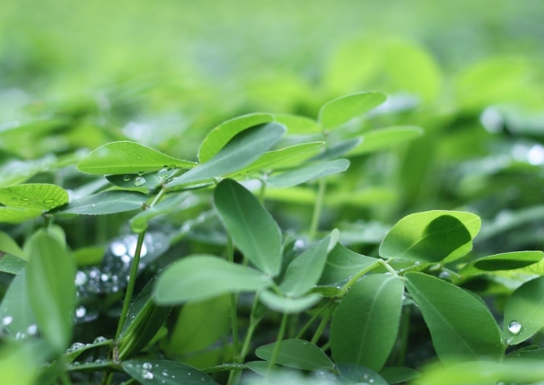 藝術(shù)家眼中超凡的設(shè)計(jì)！