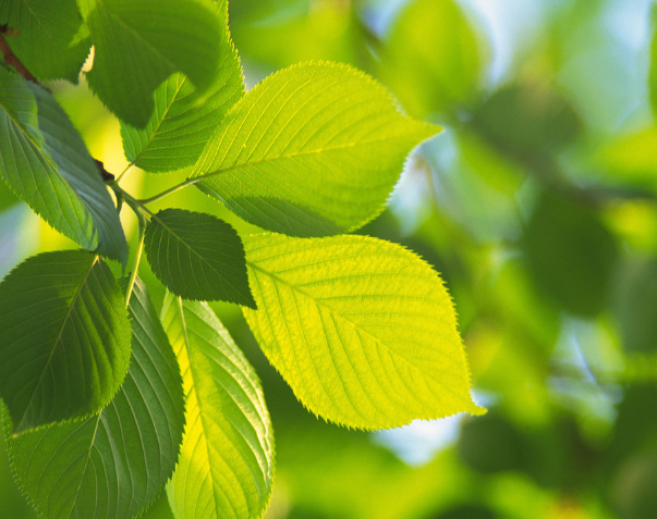 加強(qiáng)社團(tuán)文化建設(shè)對(duì)校園文化的影響！