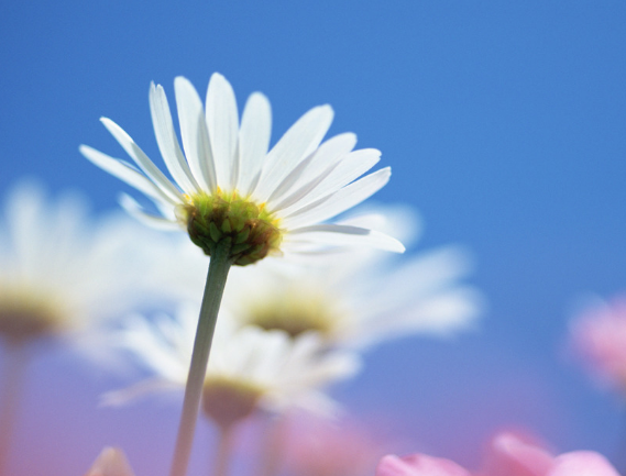 校園文化的功能、重要性簡(jiǎn)述！