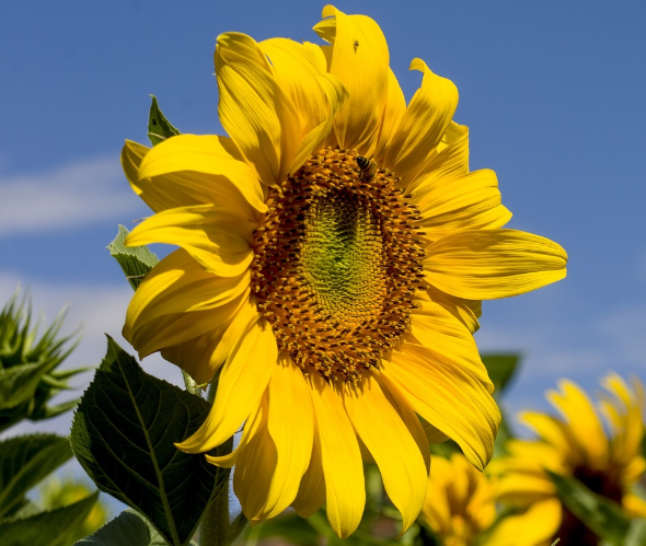 網(wǎng)絡(luò)品牌的核心價(jià)值簡(jiǎn)述！