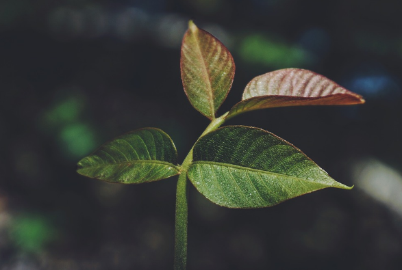 一個(gè)好的logo設(shè)計(jì)對(duì)市場(chǎng)具有較強(qiáng)的開拓能力！