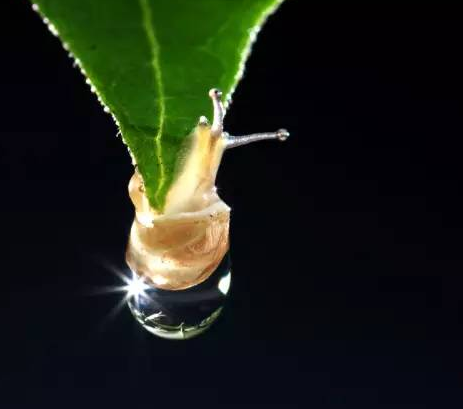 視覺(jué)設(shè)計(jì)詳解！