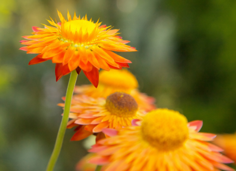 企業(yè)重視企業(yè)文化的原因！