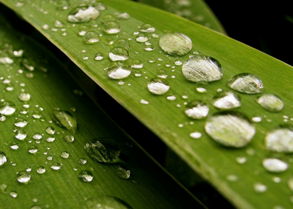 校園文化促進(jìn)社會(huì)發(fā)展！