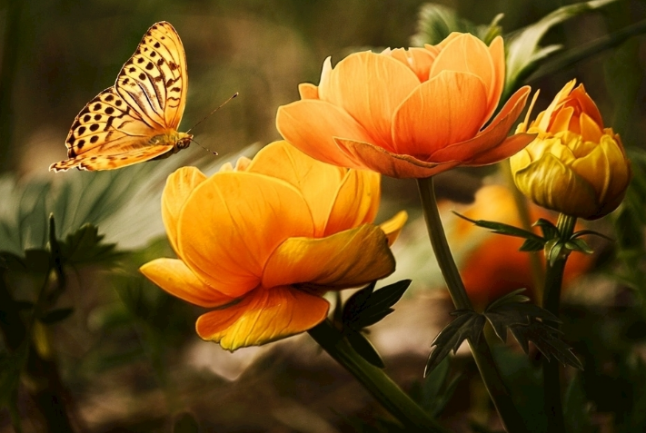 品牌的價值體現(xiàn)！?。?>
        </div>    
      </a>
    </li>
        <li  class=