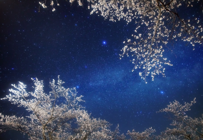 帶你了解商標(biāo)的策略、創(chuàng)意、戰(zhàn)略！