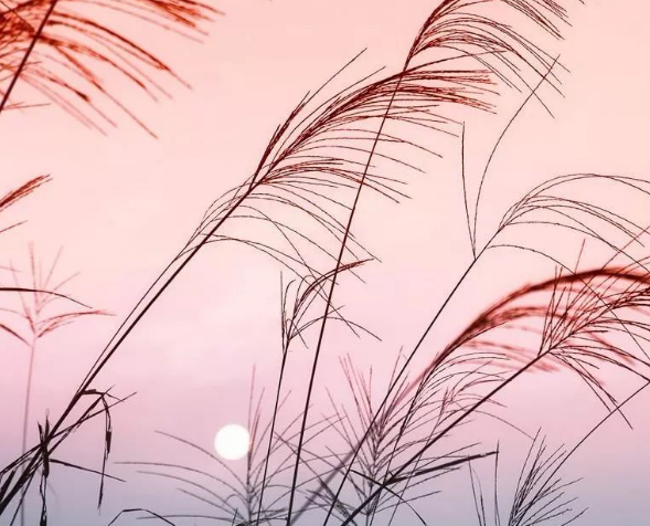 品牌的劃分、你真的了解嗎？