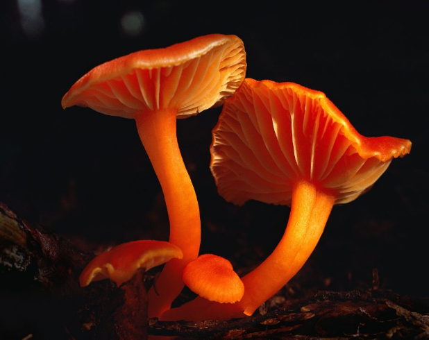 設計的靈感體現(xiàn)、色彩很重要！