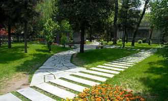 校園景觀設(shè)計(jì)可以劃分為哪幾類？