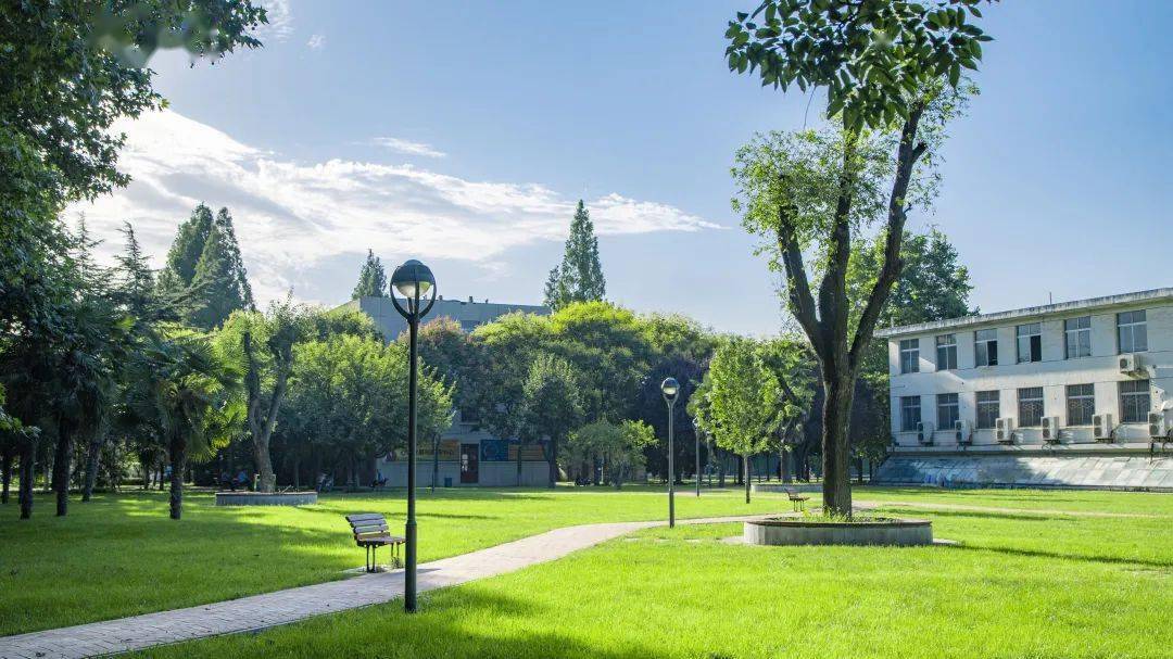 怎樣打造一個(gè)和諧的校園？