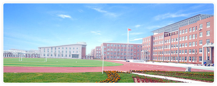 校園文化建設(shè)總結(jié)