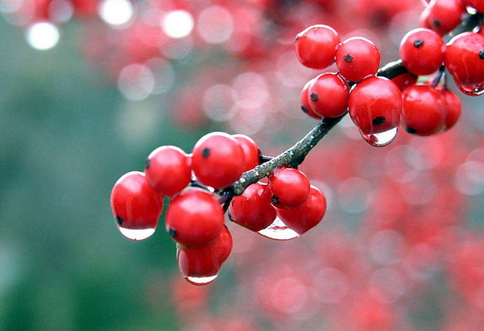 色彩設(shè)計(jì)應(yīng)用