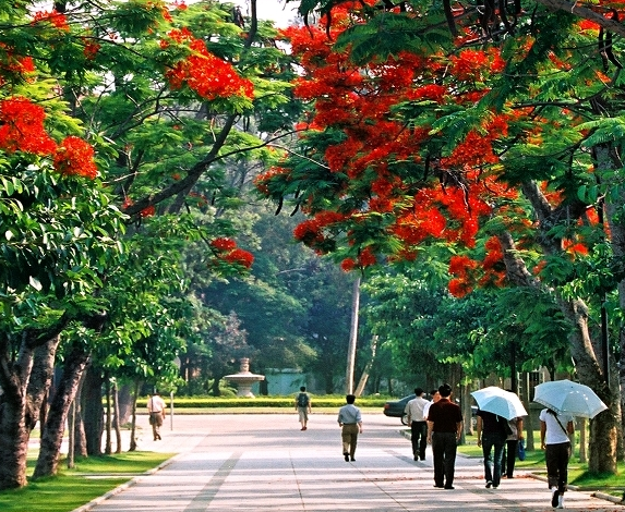 ?；諏W(xué)校的logo和建筑