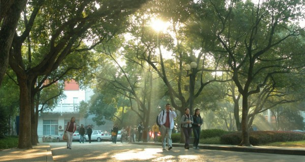 中小學(xué)校園文化建設(shè)--校園美化