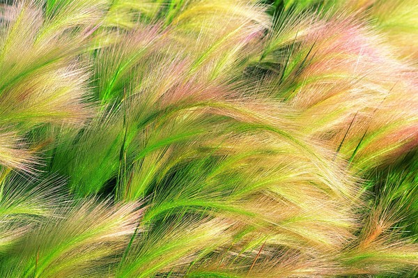 學(xué)校標(biāo)識設(shè)計思想