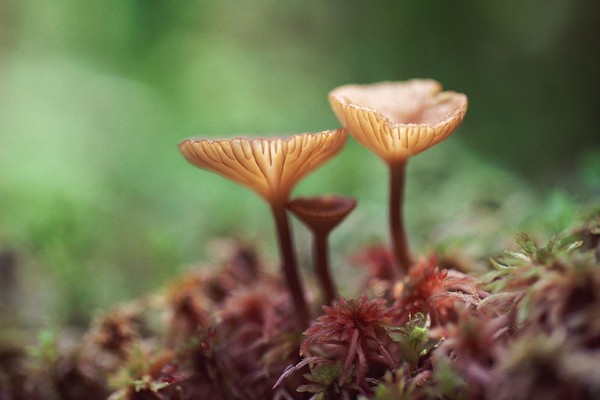 設(shè)計師的10個靈感來源