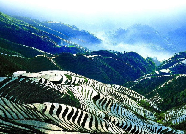 關(guān)于設(shè)計靈感唯美的文章