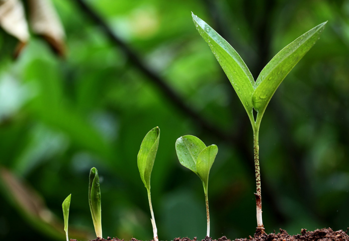 企業(yè)LOGO之品牌的劃分